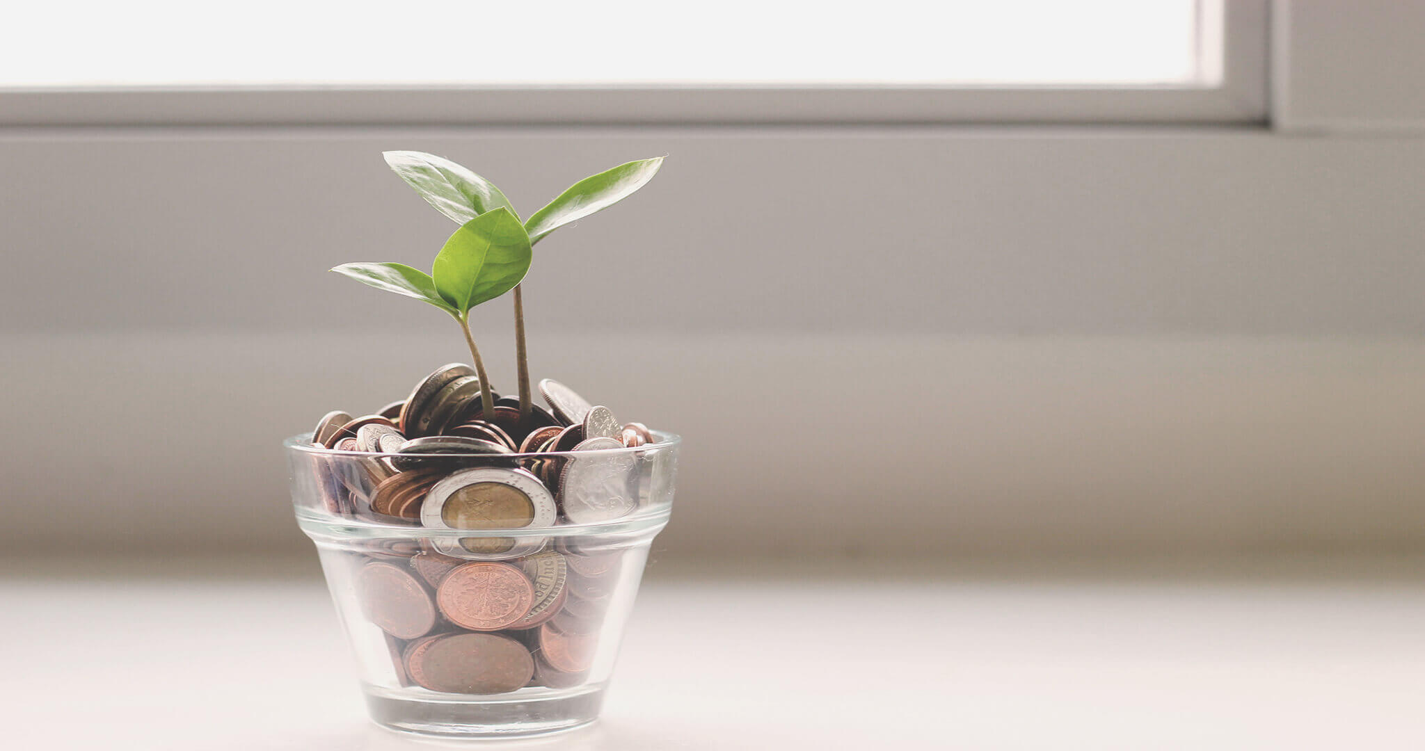 Price estimate for web and mobile app 3.tiny