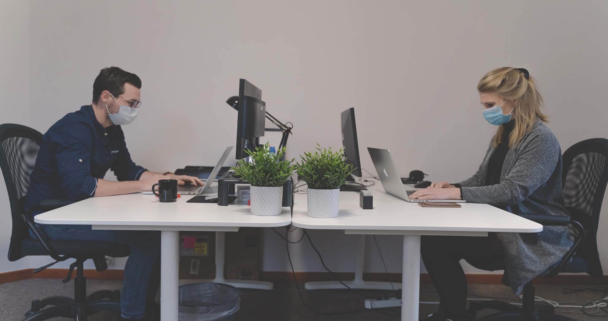 Software development in the time of COVID-19