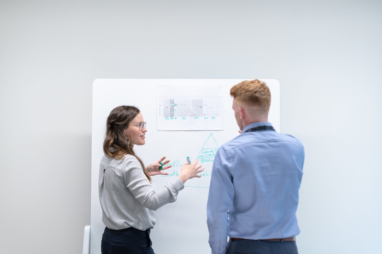estimation of app development software agency