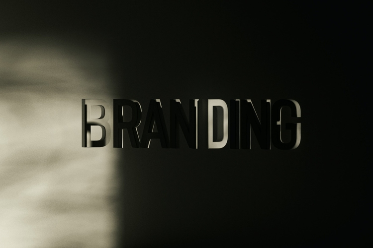 Branding for fitness: how can a custom gym management software enhance your brand identity?