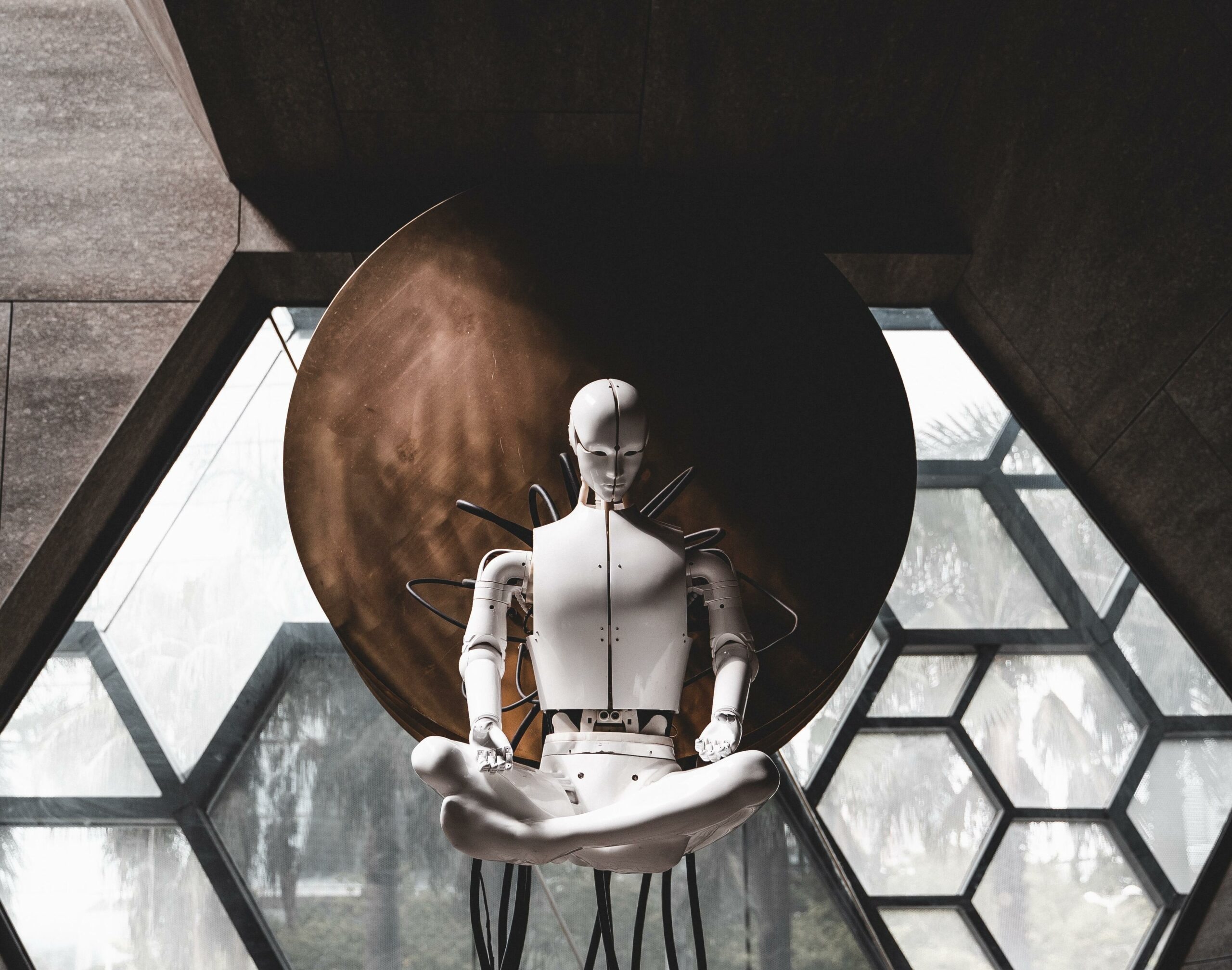 yuyeung-lau-lr5mTjURI5c-unsplash (1)