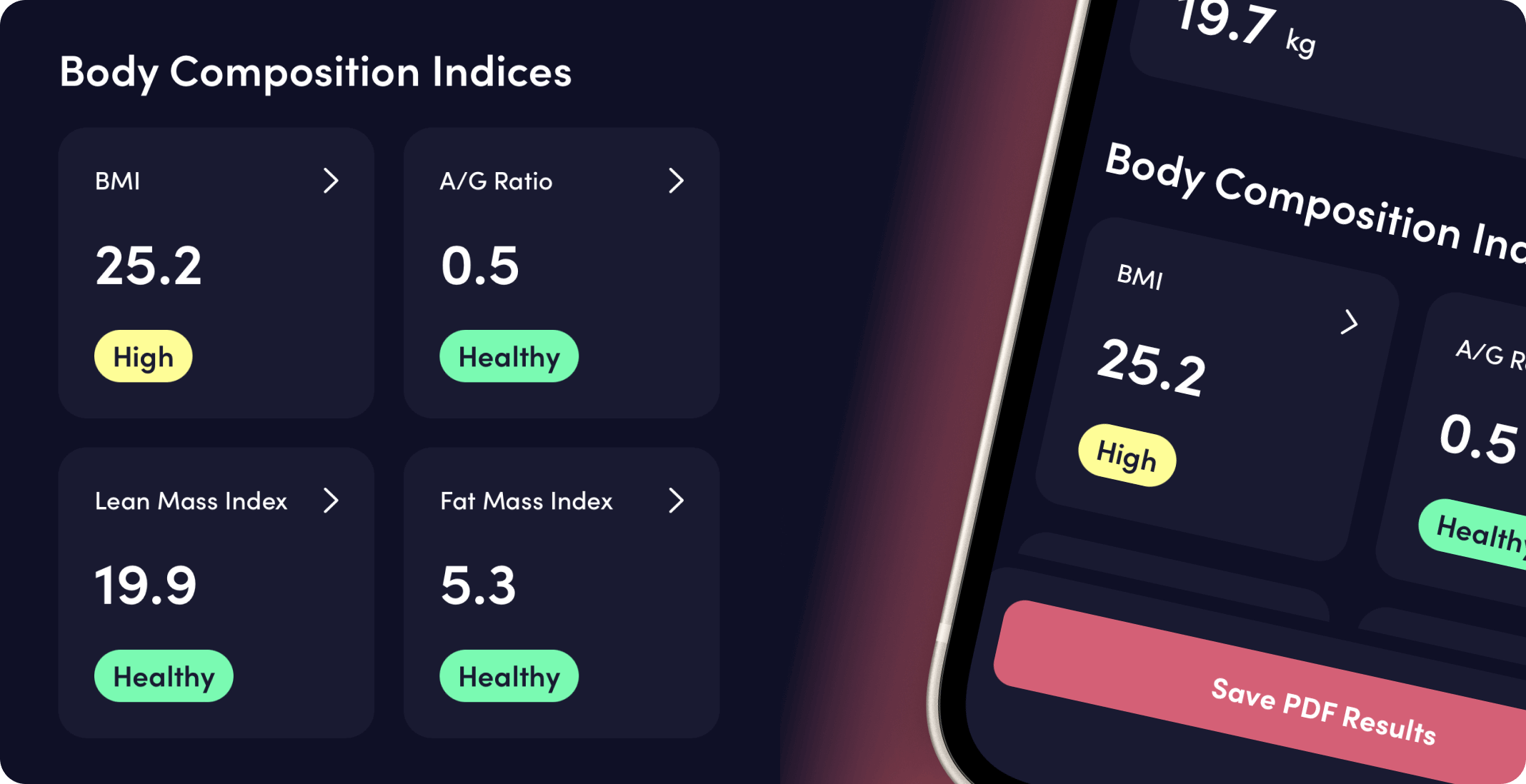 The image shows a fitness app dashboard displaying body composition metrics like BMI, A/G ratio, and fat mass with health labels.