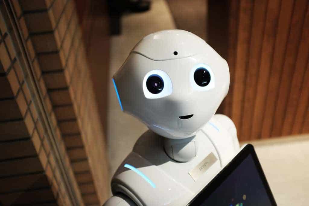 Fabio the Pepper robot
