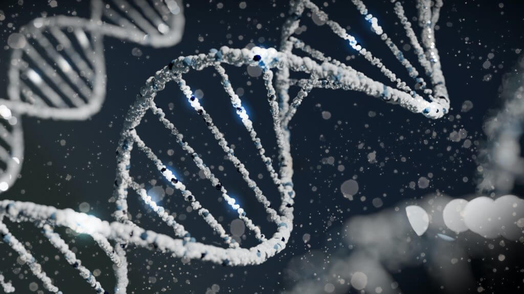 A DNA helix