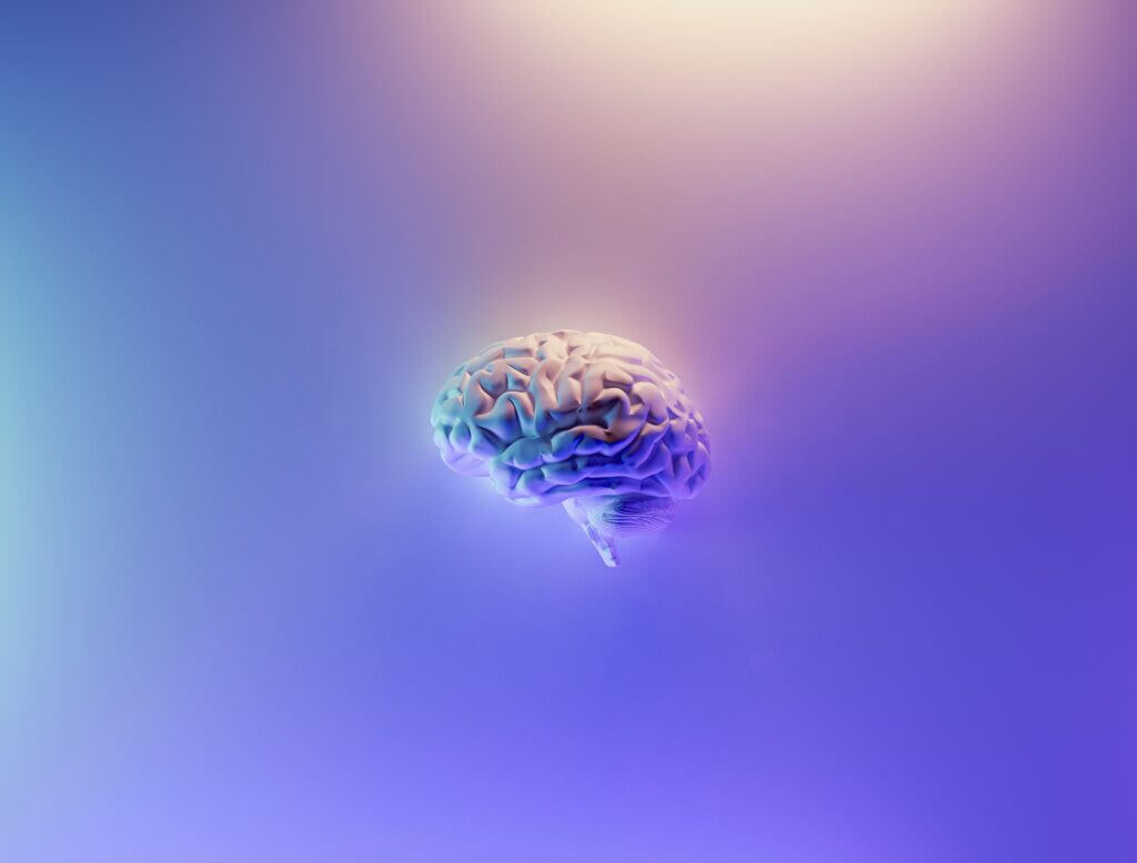 brain picture on a violet backgroung